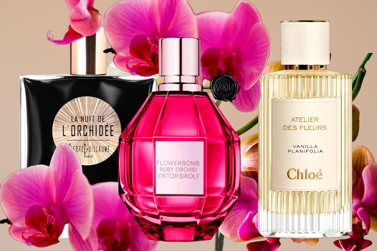 Orchid Fragrances
